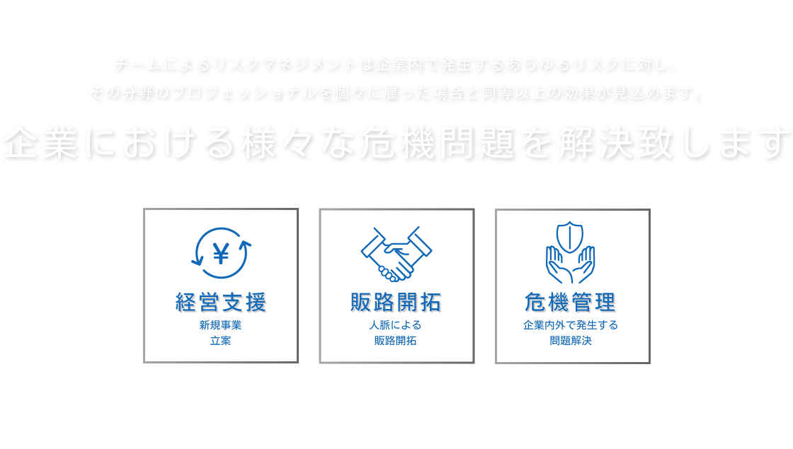 不正リスク管理 有事対応 Risk Crisis Management 売れ筋商品